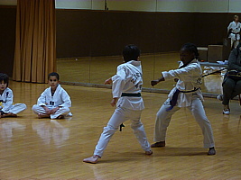 p5740194.jpg