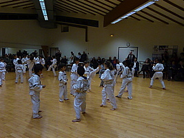 p5740220.jpg