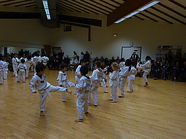 p5740228.jpg