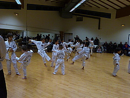 p5740240.jpg