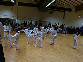 p5740241.jpg