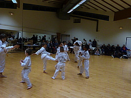 p5740253.jpg