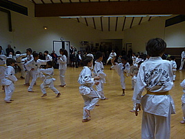 p5740264.jpg