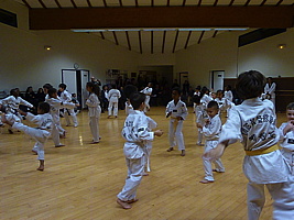 p5740268.jpg