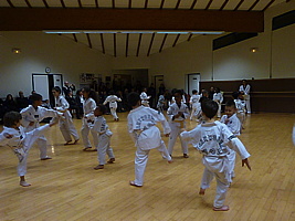 p5740282.jpg