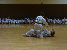 p5740588.jpg