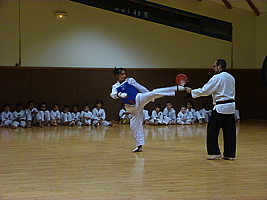 p5740628.jpg