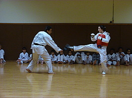 p5740678.jpg