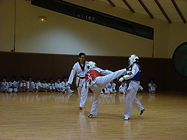 p5740757.jpg