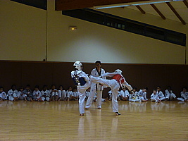 p5740766.jpg