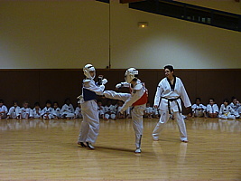 p5740777.jpg