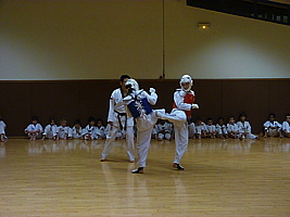 p5740780.jpg
