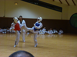 p5740820.jpg