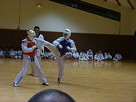 p5740827.jpg