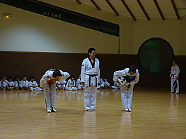 p5740852.jpg