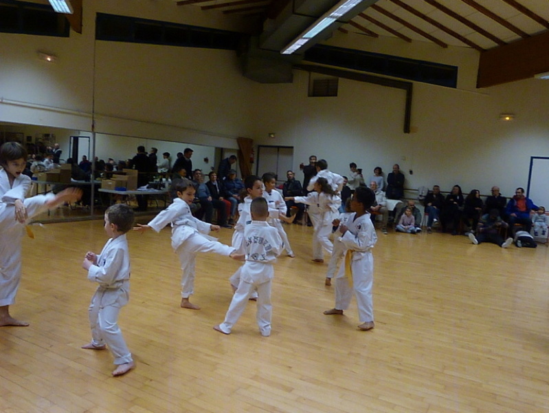 p5740253.jpg