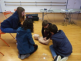 p5520846.jpg