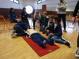 p5530074.jpg
