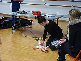 p5530111.jpg