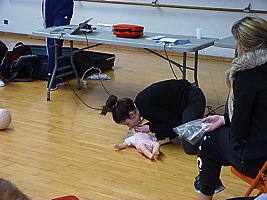 p5530115.jpg