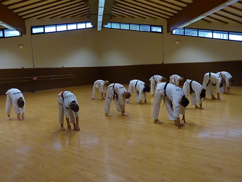p5660733.jpg