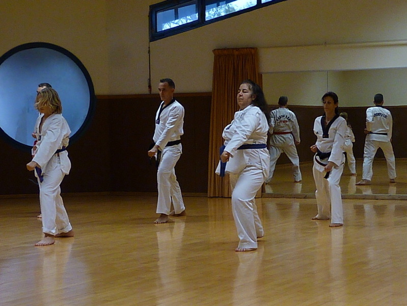 p5660834.jpg