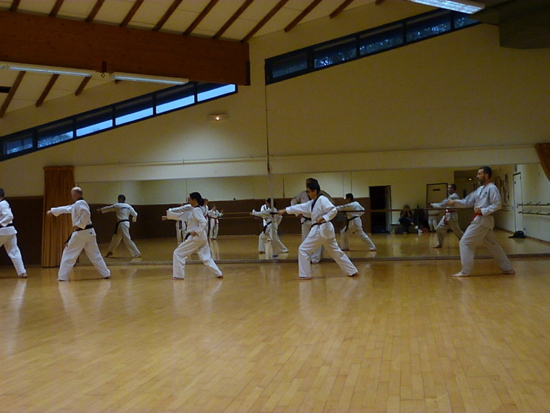 p5690508.jpg