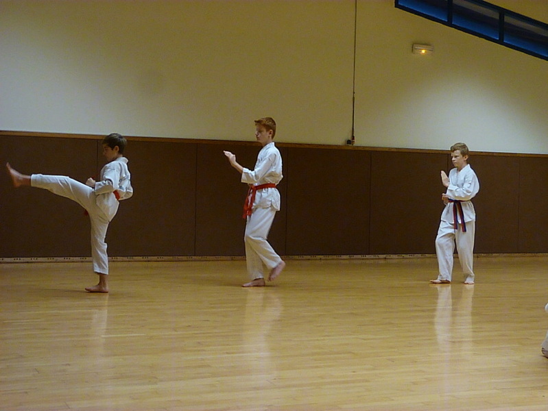 p5690637.jpg