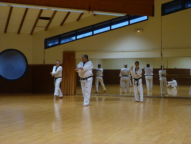 p5690686.jpg