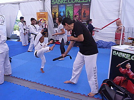 p5650834.jpg