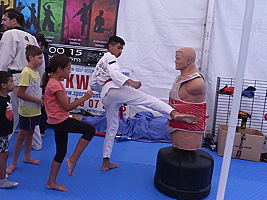 p5650932.jpg