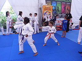 p5650965.jpg