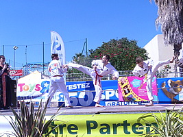 p5660188.jpg