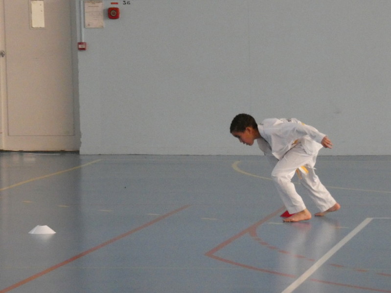 p1030029.jpg