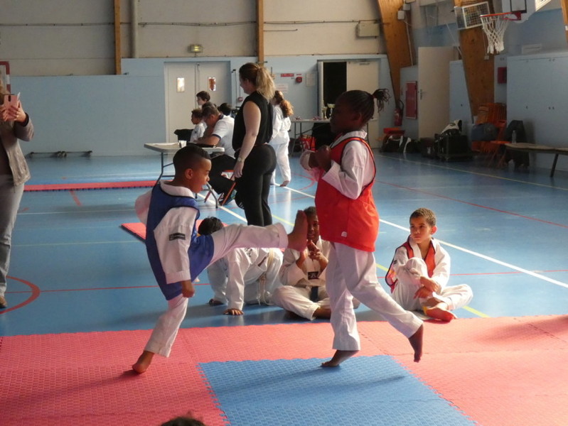 p1050197.jpg