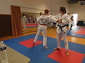 p1310041.jpg