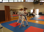p1310052.jpg