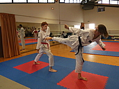 p1310077.jpg