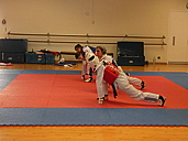p1310194.jpg