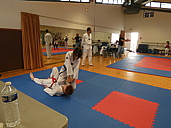 p1310532.jpg
