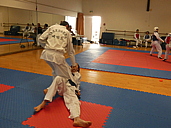 p1310959.jpg