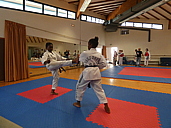 p1340171.jpg