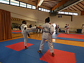 p1340194.jpg