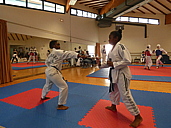 p1340370.jpg