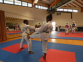 p1340395.jpg