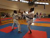 p1340425.jpg