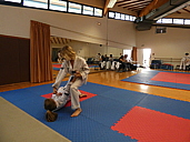 p1350656.jpg