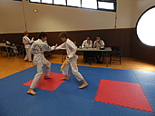 p1350875.jpg