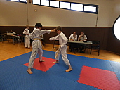 p1350886.jpg