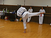 p1360565.jpg